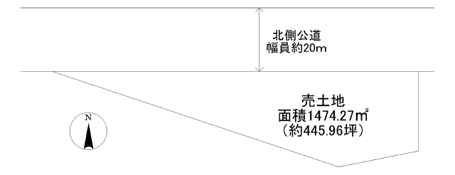 2157画像