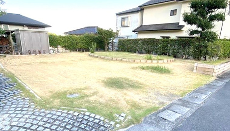 3956画像